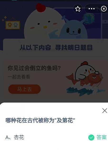 在古代被称为及第花的是杏花吗