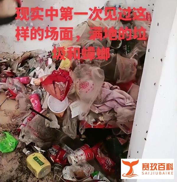 如何看待浙江女孩租房两年从不扔垃圾,房东称:清出27桶垃圾这件事?