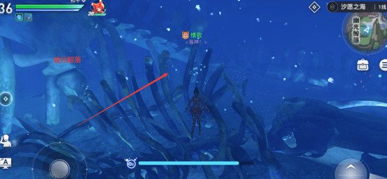 天谕手游水母之梦四个地点在哪？
