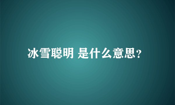 冰雪聪明 是什么意思？