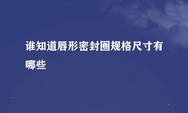 谁知道唇形密封圈规格尺寸有哪些