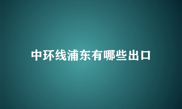 中环线浦东有哪些出口