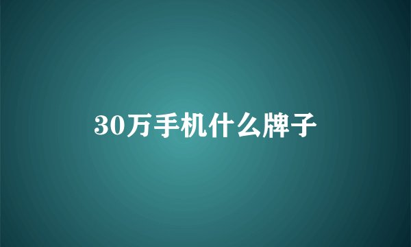 30万手机什么牌子