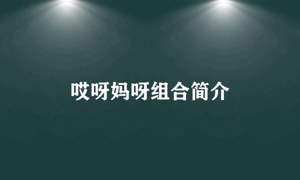 哎呀妈呀组合简介