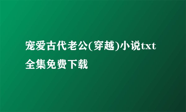 宠爱古代老公(穿越)小说txt全集免费下载