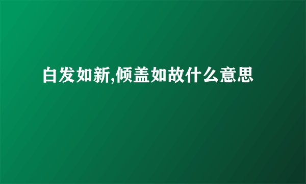 白发如新,倾盖如故什么意思