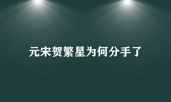 元宋贺繁星为何分手了