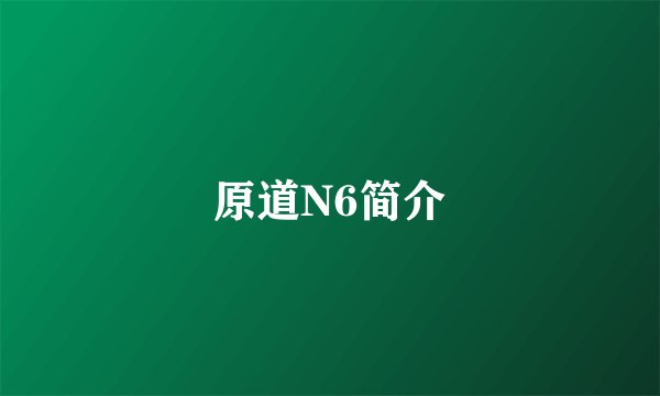 原道N6简介