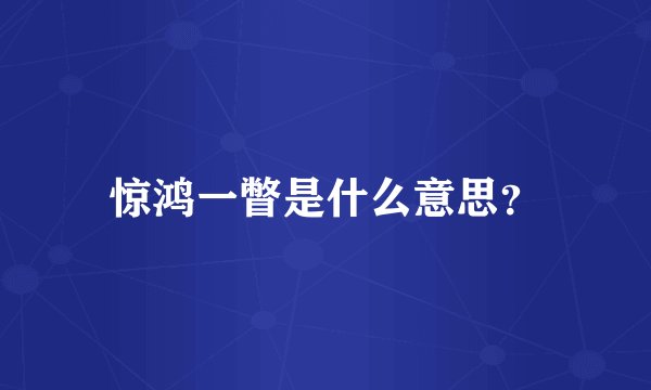 惊鸿一瞥是什么意思？