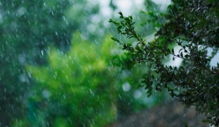 雨从四面八方飘然而起(改为拟人句) 飘然而起是什么意思？