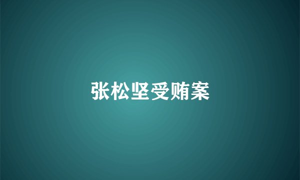 张松坚受贿案