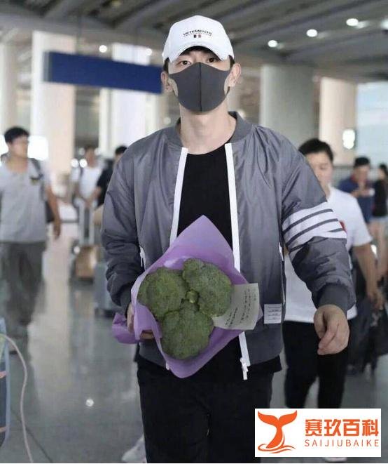 那些年奇葩的礼物——保剑锋被粉丝送大白鹅