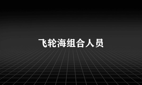 飞轮海组合人员
