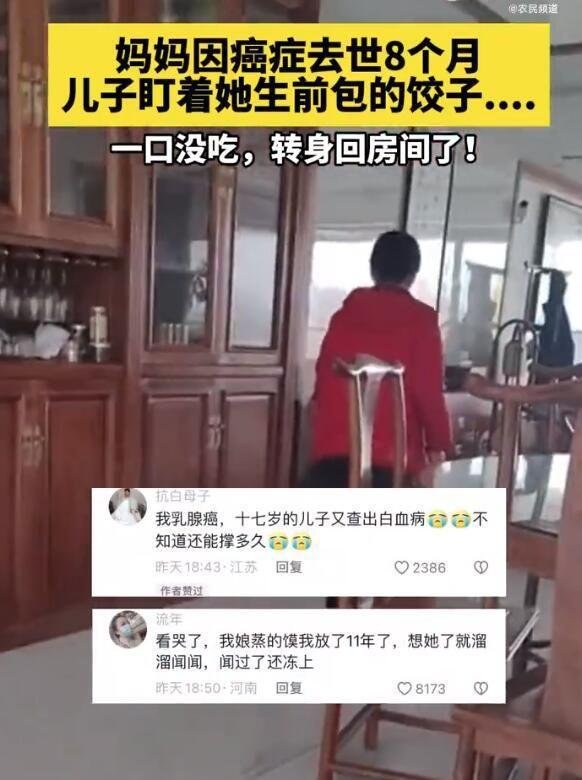 泪目：妈妈去世8个月留下1盘饺子，儿子一口没吃转身哭了！
