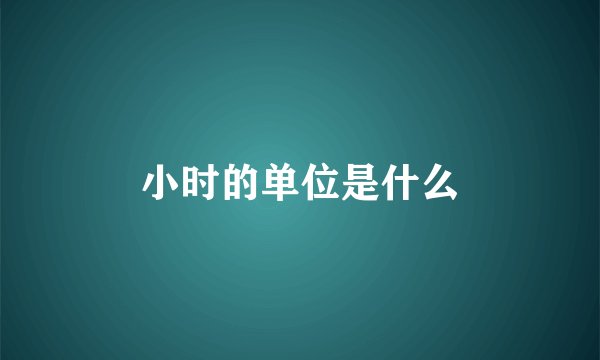 小时的单位是什么