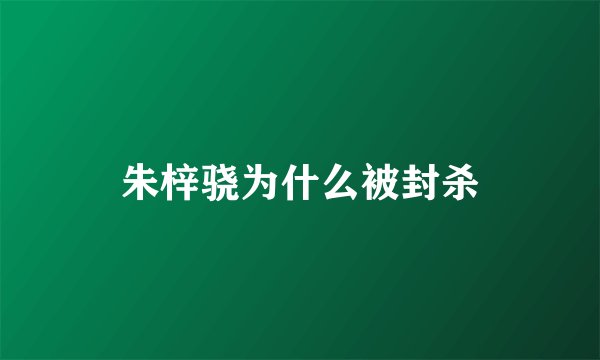 朱梓骁为什么被封杀