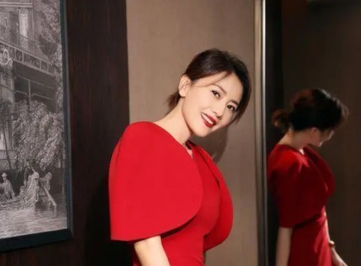 高圆圆现身车展获十几名保安围一圈,你如何看待这个场景?