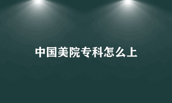 中国美院专科怎么上