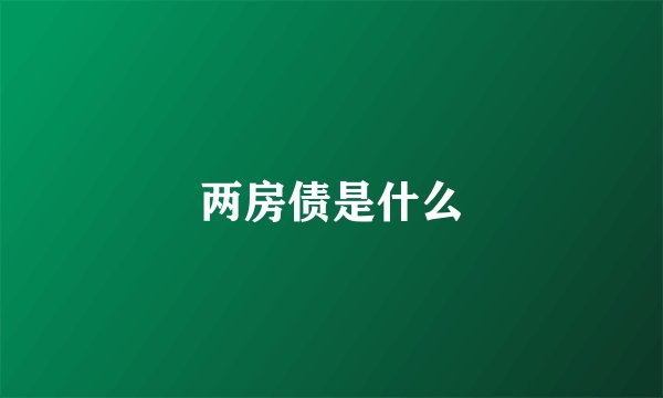 两房债是什么