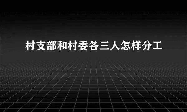 村支部和村委各三人怎样分工