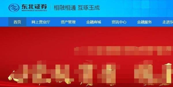 东北证券大智慧手机版下载