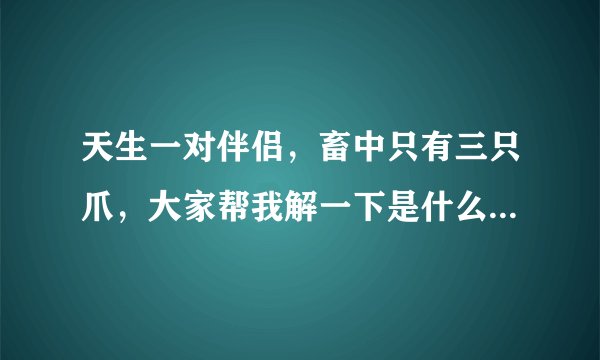 天生一对伴侣，畜中只有三只爪，大家帮我解一下是什么！是十二生肖的