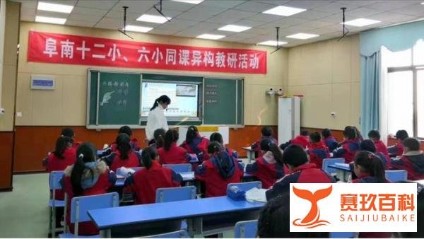 让每个生命都精彩——阜阳阜南县第十二小学李恰先进事迹