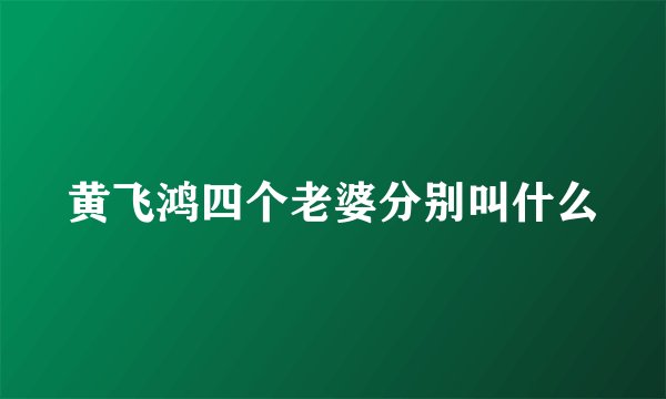 黄飞鸿四个老婆分别叫什么
