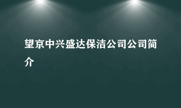 望京中兴盛达保洁公司公司简介