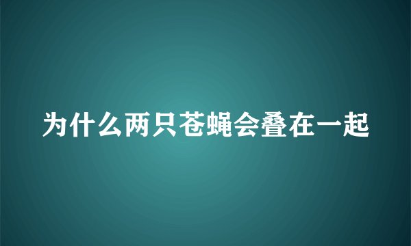 为什么两只苍蝇会叠在一起