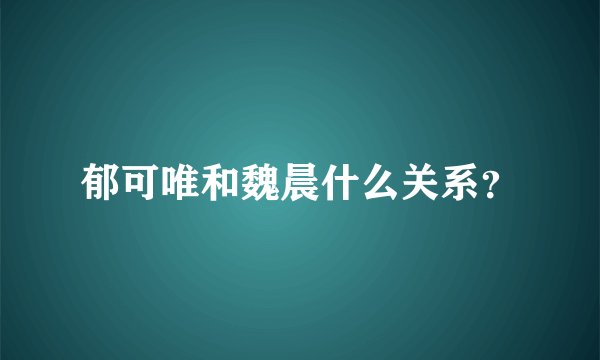 郁可唯和魏晨什么关系？