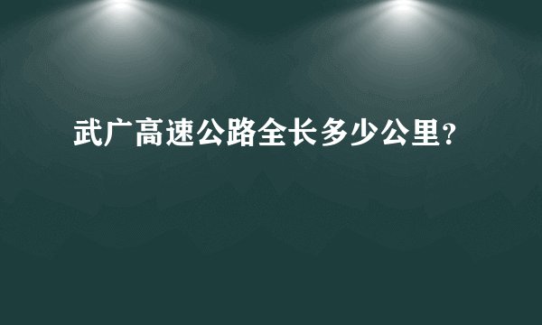 武广高速公路全长多少公里？