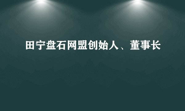 田宁盘石网盟创始人、董事长
