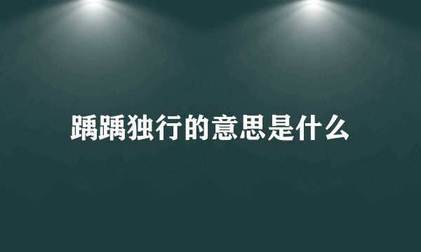 踽踽独行的意思是什么