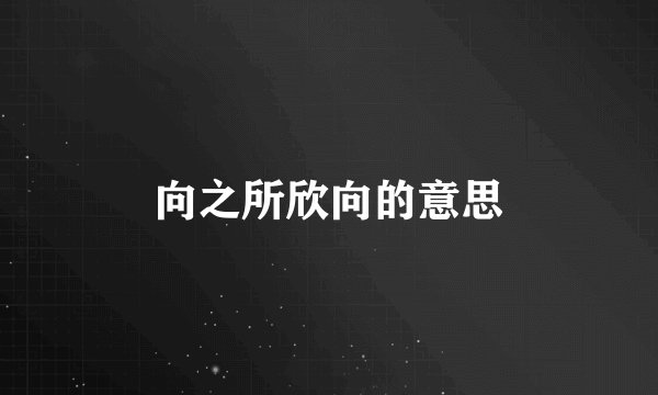 向之所欣向的意思