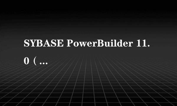 SYBASE PowerBuilder 11.0（企业版）重要参数