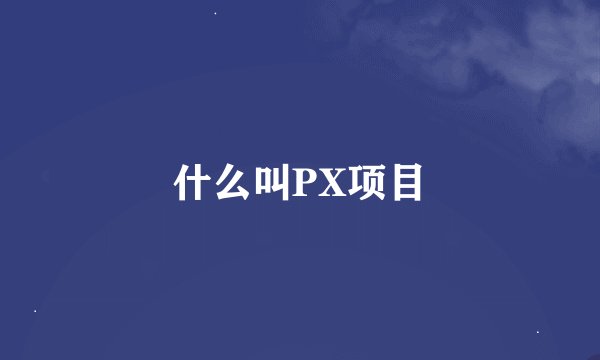 什么叫PX项目