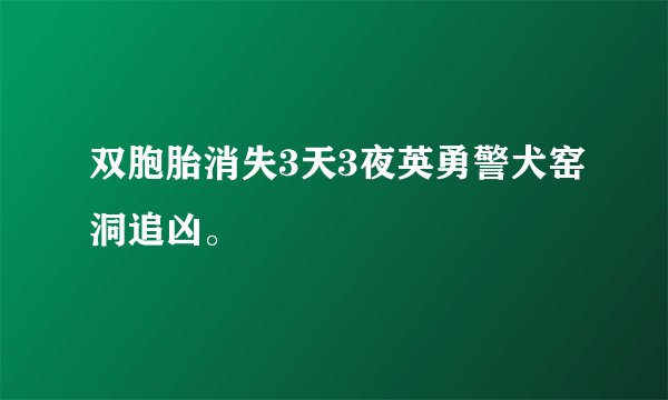 双胞胎消失3天3夜英勇警犬窑洞追凶。