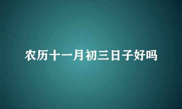农历十一月初三日子好吗