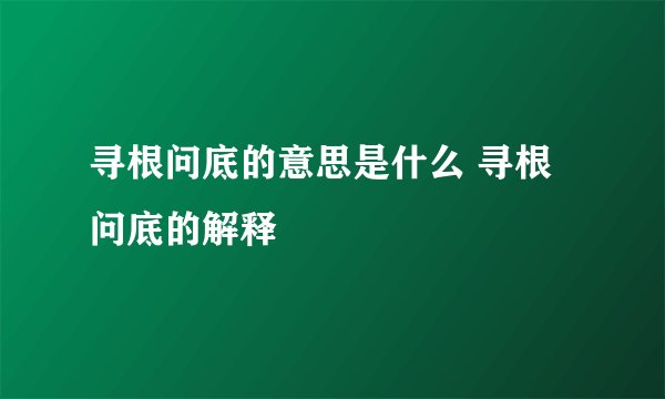 寻根问底的意思是什么 寻根问底的解释