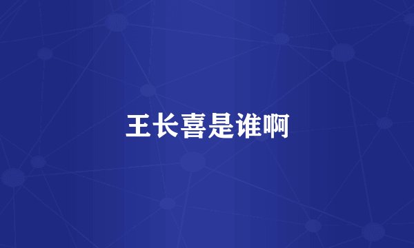 王长喜是谁啊