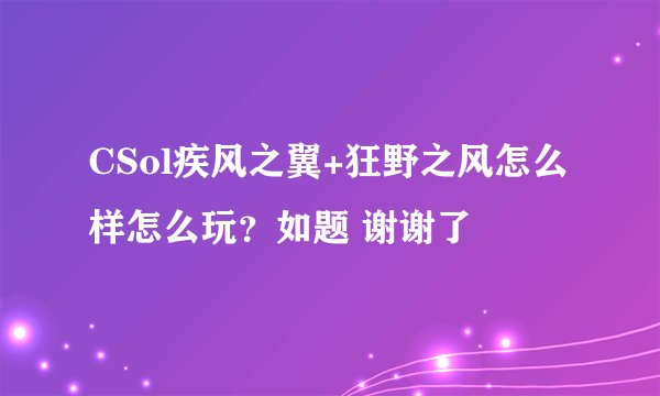 CSol疾风之翼+狂野之风怎么样怎么玩？如题 谢谢了