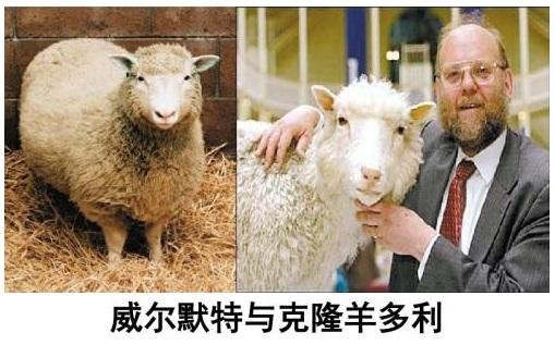无性繁殖有那么多优势,为什么人类还要选择男女一起繁衍下一代?