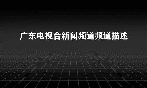 广东电视台新闻频道频道描述