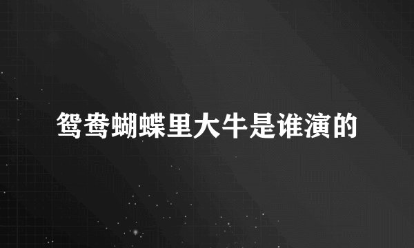 鸳鸯蝴蝶里大牛是谁演的
