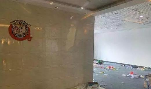 网红猪兼强不再“坚强”,2亿学费待退还是打水漂?