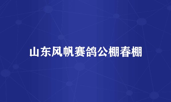 山东风帆赛鸽公棚春棚