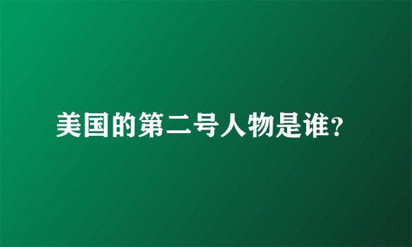 美国的第二号人物是谁？