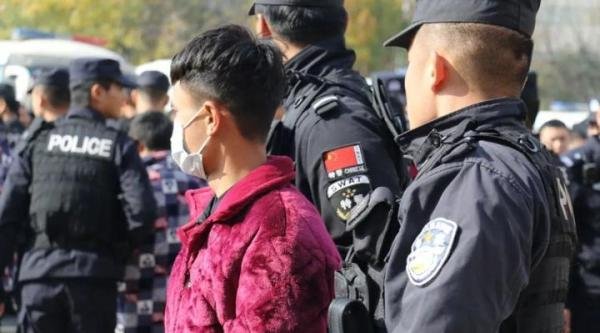 关于“缅北电诈”四大真相的补充