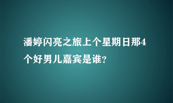 潘婷闪亮之旅上个星期日那4个好男儿嘉宾是谁？